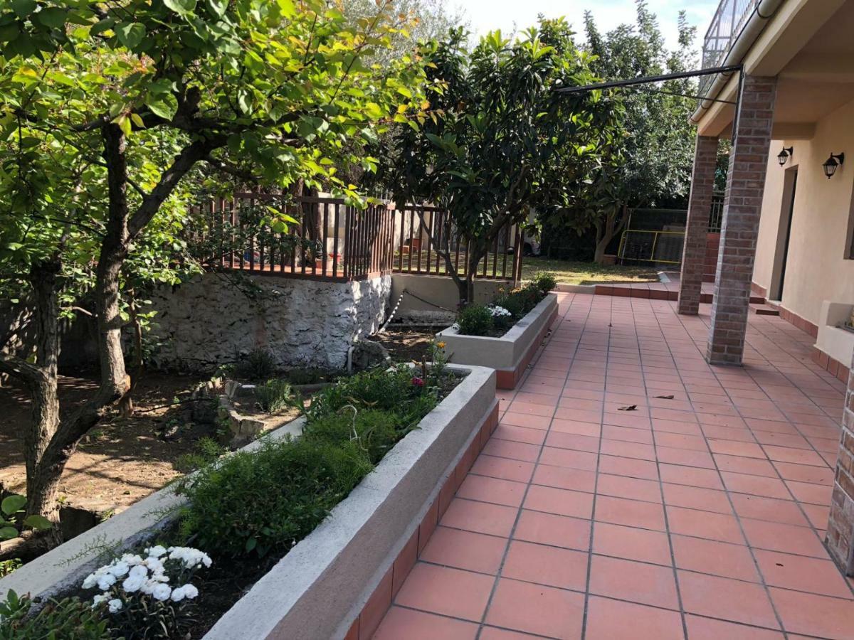 Carrubo - Giardino in città Catane Extérieur photo